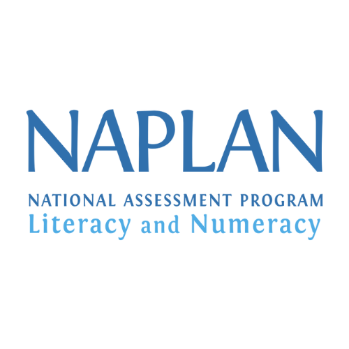 edu hub tutoring Naplan